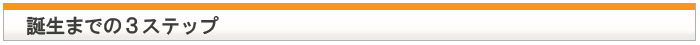 誕生までの３ステップ